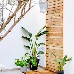 Casa Oliva -