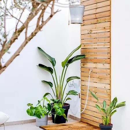 Casa Oliva -